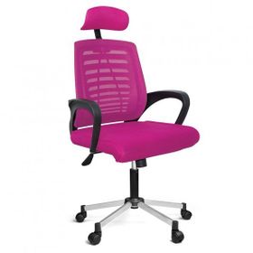 Türksit Karizma File Krom Ayak Pembe Müdür Koltuğu