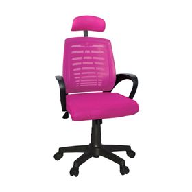 Türksit Karizma File Plastik Ayak Siyah Pembe Müdür Koltuk