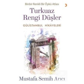 Turkuaz Rengi Düşler - Gülistanbul Hikayeleri - Mustafa Semih Arıcı