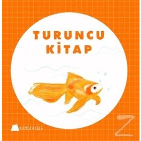 Turuncu Kitap - Işıl Erverdi