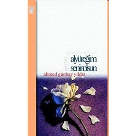 TURUNCU MASALLARI ALAADIN'IN SIHIRLI LAMBASI - ŞEBNEM KANOĞLU
