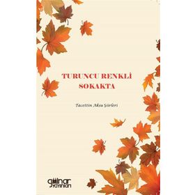 Turuncu Renkli Sokakta - Tacettin Aksu
