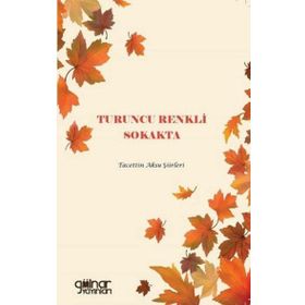 Turuncu Renkli Sokakta - Tacettin Aksu