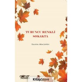 Turuncu Renkli Sokakta - Tacettin Aksu