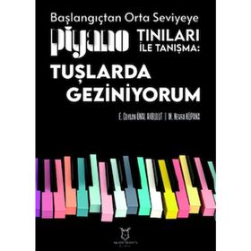 Tuşlarda Geziniyorum Akademisyen Kitabevi