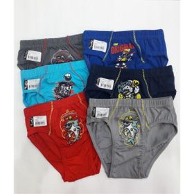 Tutku 0138 Erkek Çocuk 6 Adet Renkli Slip Külot