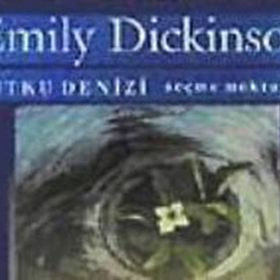 Tutku Denizi Seçilmiş Mektuplar - Emily Dickinson