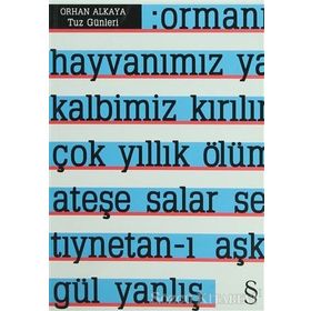 TUZ GÜNLERİ - ORHAN ALKAYA