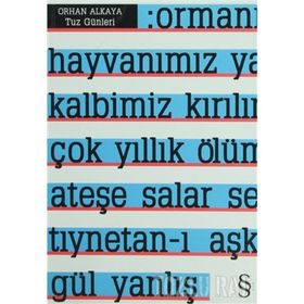 TUZ GÜNLERİ - ORHAN ALKAYA
