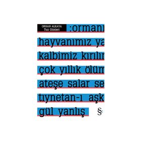 TUZ GÜNLERİ - ORHAN ALKAYA