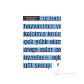 TUZ GÜNLERİ - ORHAN ALKAYA