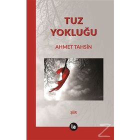 Tuz Yokluğu - Ahmet Tahsin