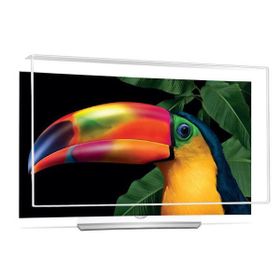 TV Guard LG OLED55C6V 55 inç TV Ekran Koruyucu