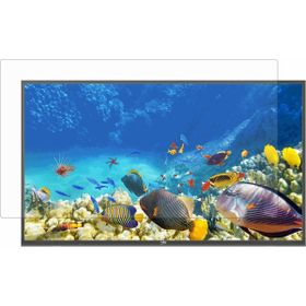 TV Guard Philips 49PUK4900 49 inç TV Ekran Koruyucu