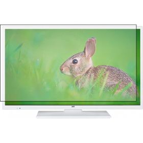 Tv Koruyan Seg 24SEH5520W Uyumlu TV Ekran Koruyucu