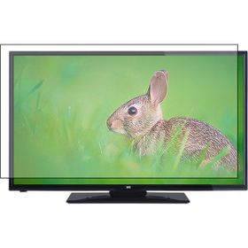 Tv Koruyan Seg 42SE5500 Uyumlu TV Ekran Koruyucu