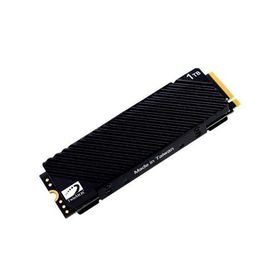 Twinmos 1 TB M.2 Gen4 NVMe SATA SSD