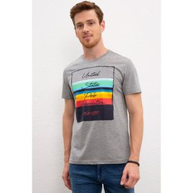 U.S. Polo Assn. 50221084 Gri Erkek T-shirt