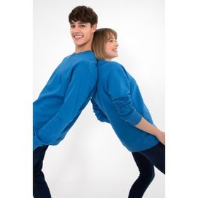 U.S. Polo Assn. 50295148-VR077 Kobalt Erkek Sweatshirt
