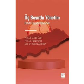 Üç Boyutlu Yönetim - Akif Özer
