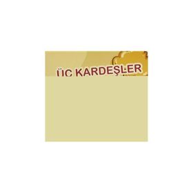 ÜÇ KARDEŞLER - OĞUZ TANSEL