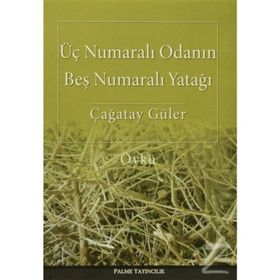 Üç Numaralı Odanın Beş Numaralı Yatağı - Çağatay Güler