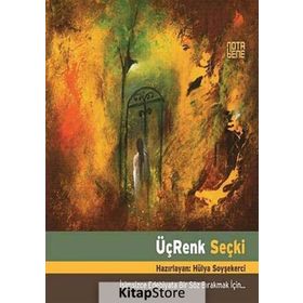 ÜÇ RENK SEÇKİ İSİMSİZCE EDEBIYATA BIR SÖZ BIRAKMAK İÇİN - HÜLYA SOYŞEKERCİ