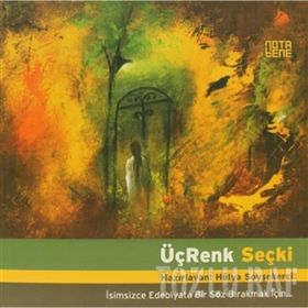ÜÇ RENK SEÇKİ İSİMSİZCE EDEBIYATA BIR SÖZ BIRAKMAK İÇİN - HÜLYA SOYŞEKERCİ