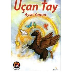 UÇAN TAY - AYŞE YAMAÇ