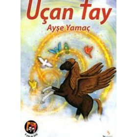 UÇAN TAY - AYŞE YAMAÇ