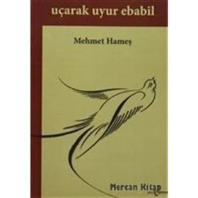 Uçarak Uyur Ebabil -Mehmet Hameş