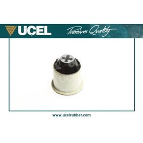 Üçel 10733 Renault Clio Torsiyon Burcu Arka