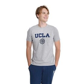 Ucla Gayley Gri Erkek T-shirt
