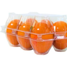 Ucuz Viyol 100 Adet 6'lı Şeffaf Plastik Kapaklı Yumurta Viyolü
