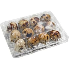 Ucuz Viyol 100 Adet Bıldırcın Yumurtası Viyolü