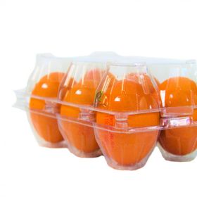 Ucuz Viyol 1200 Adet 6'lı Şeffaf Plastik Kapaklı Yumurta Viyolü