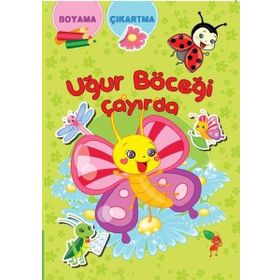 Uğur Böceği Çayırda Koloni Çocuk
