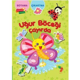 Uğur Böceği Çayırda Koloni Çocuk