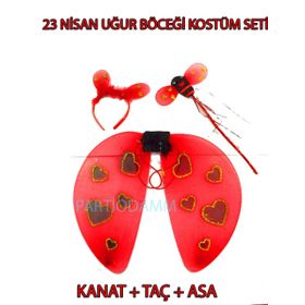 Uğur Böceği Kanat Seti