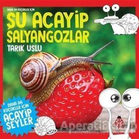 Uğurböceği Yayınları Daha da Küçükler İçin Şu Acayip Salyangozlar