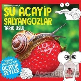 Uğurböceği Yayınları Daha da Küçükler İçin Şu Acayip Salyangozlar