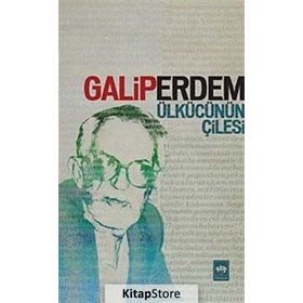 Ülkücünün Çilesi - Galip Erdem