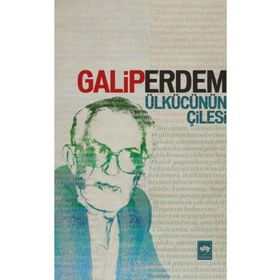 Ülkücünün Çilesi - Galip Erdem