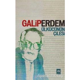 Ülkücünün Çilesi - Galip Erdem