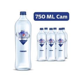 Uludağ 750 ml Premium Su (6 adet)