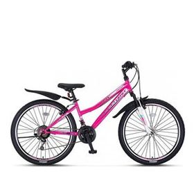 Ümit 2469 Faster V 24 Jant 21 Vites Pembe Lila Kadın Dağ Bisikleti
