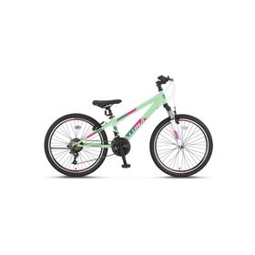 Ümit 2469 Luna V 24 Jant 21 Vites Mint Kadın Dağ Bisikleti