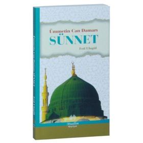 Ümmetin Can Damarı Sünnet - Feti Ulugöl