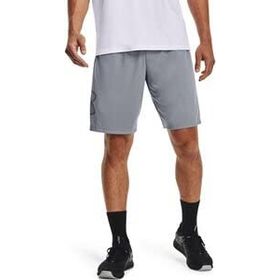 Under Armour UA Tech Graphic W76 Gri Erkek Şort
