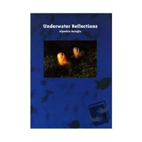 UNDERWATER REFLECTIONS - ALPTEKIN BALOĞLU;ALPTEKIN BALOĞLU